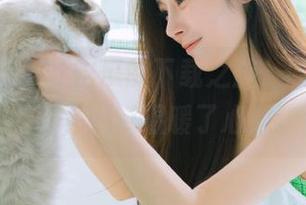 51吃瓜的下载之旅，收藏个好内容，顺带温暖了心灵。