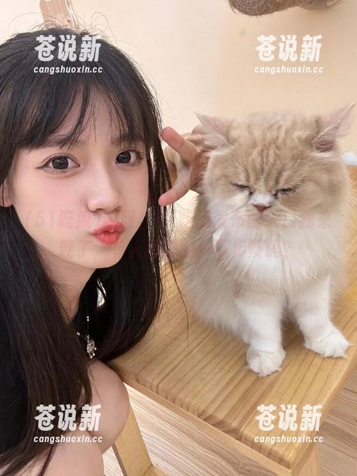 哎呀，51吃瓜发布的入口我来晚了，有人再提醒一下步骤吗？