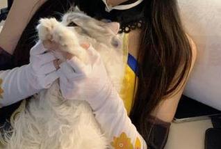 想玩就来51吃瓜网首页，这儿的瓜等着被剥皮！