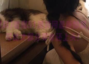 收藏51黑料网最新的瓜，吃的可比大部分零食还上头！