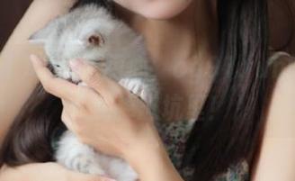 吃瓜请用心，cg91.fun的入口可别掉进坑里！