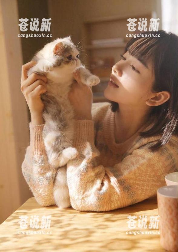 傻眼了！冲哥黑料网站揭晓折耳鱼的视频趣事