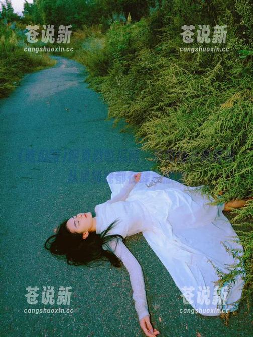 网页逛吃瓜网，朝阳的奇闻异事从早到晚都在肆意撒欢