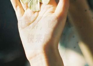 大瓜成群，吃瓜网今日热辣分享，快来撩一撩！