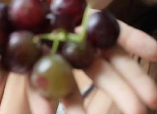 黑料不打烊新链接在哪里？我已经要开始四处“百度”了！